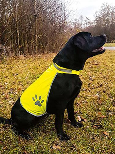 Epic Label Accessoires luminescents Gilet De Sécurité Pour Chiens Haute Visibilité Korntex