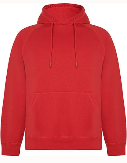 Epic Label Sweat-shirts Roly Eco Ry1074 Sweat À Capuche Bio Vinson